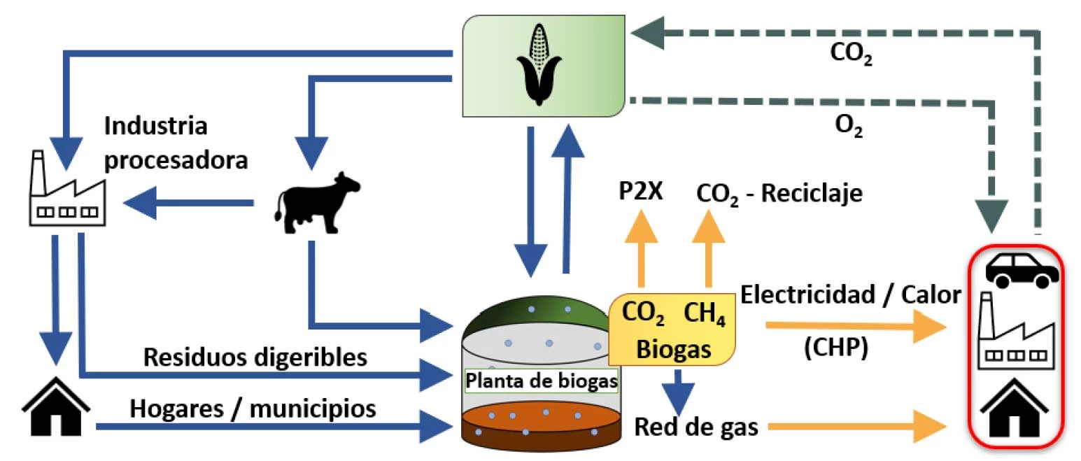Biogas Economía circular